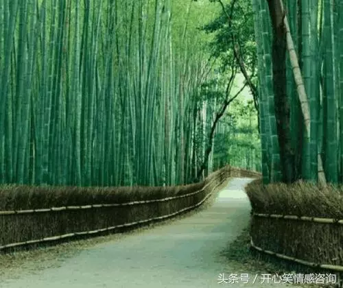 心理測試:4條路,你會選擇哪條?秒測你們的異地戀可以堅持多久