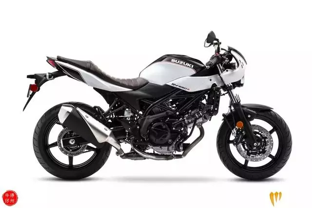 新車速遞丨2019款 Suzuki SV650X 復古街車正式亮相