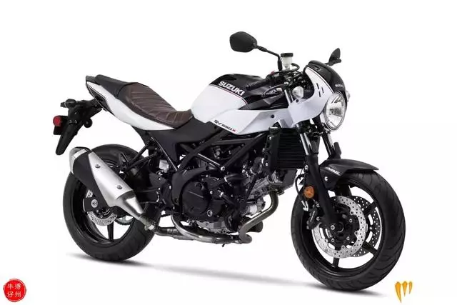 新車速遞丨2019款 Suzuki SV650X 復古街車正式亮相