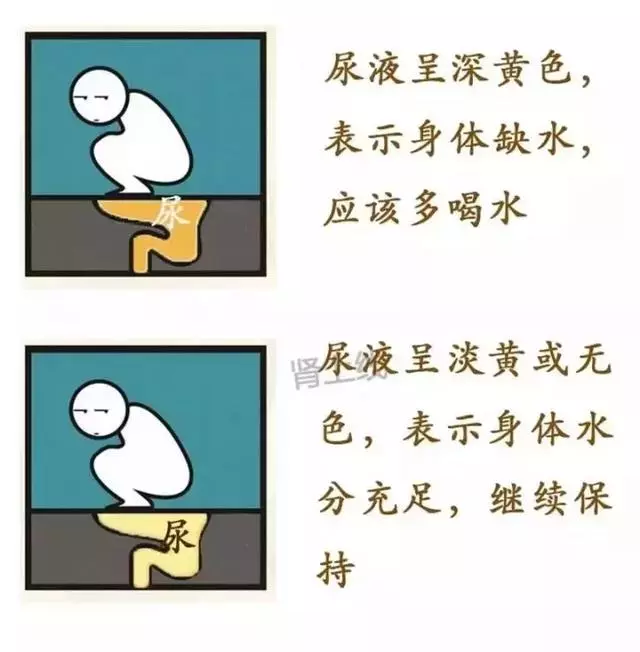 再這么喝水,你將親手「毀掉」健康!4大誤區心中要有數