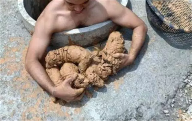如果一個男人願意把愛給小動物,那他一定不可能是渣男