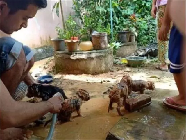 如果一個男人願意把愛給小動物,那他一定不可能是渣男