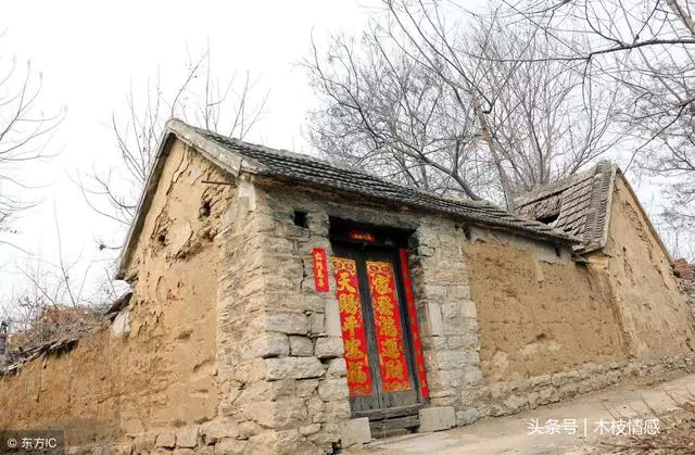每月打錢回家,你們一家三口吃好穿好,就給我媽吃野菜?