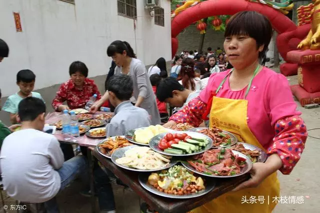 每月打錢回家,你們一家三口吃好穿好,就給我媽吃野菜?