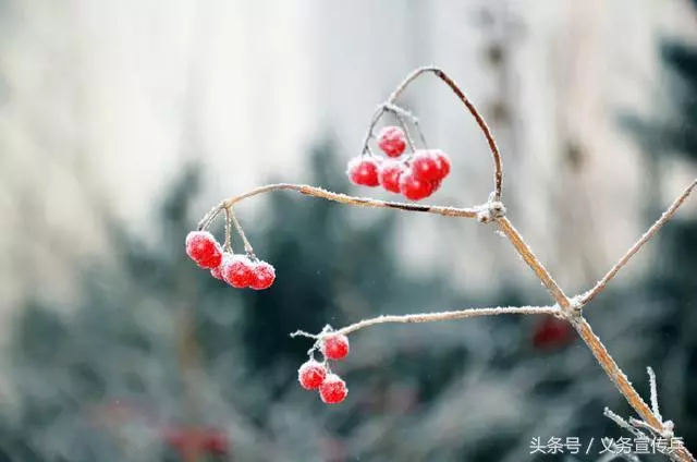 悟透人生的短句:一句頂一萬句,讓人瞬間清醒!(值得收藏)