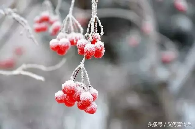 悟透人生的短句:一句頂一萬句,讓人瞬間清醒!(值得收藏)