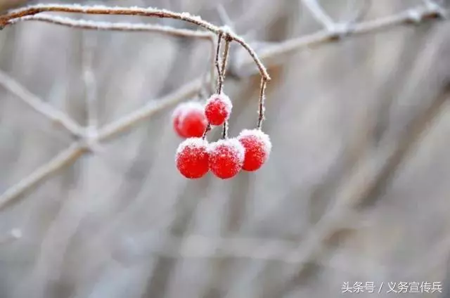 悟透人生的短句:一句頂一萬句,讓人瞬間清醒!(值得收藏)