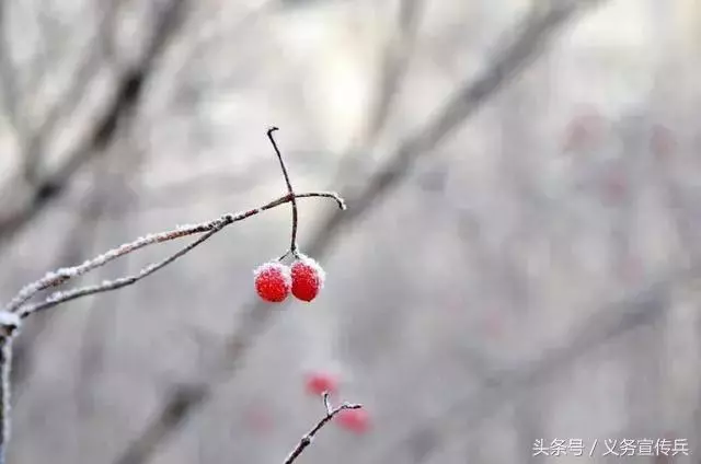 悟透人生的短句:一句頂一萬句,讓人瞬間清醒!(值得收藏)