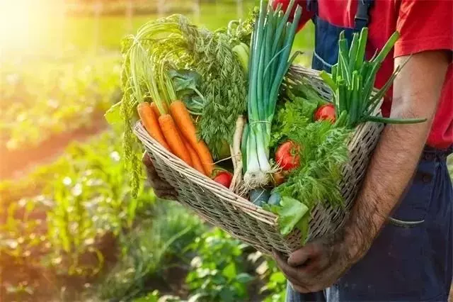 「十大最難吃蔬菜」!可個個營養價值很高怎麼辦?尤其是第二名