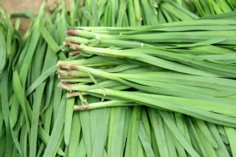 「十大最難吃蔬菜」!可個個營養價值很高怎麼辦?尤其是第二名