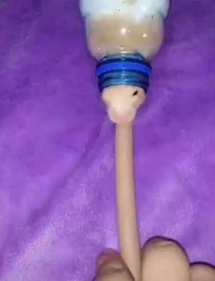 倉鼠被主人美食引誘,可就是吃不到,倉鼠氣得