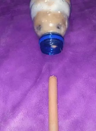 倉鼠被主人美食引誘,可就是吃不到,倉鼠氣得