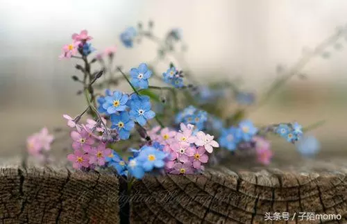 去小叔子婚禮的路上,收到婆婆一條語音,聽完後我和老公去民政局