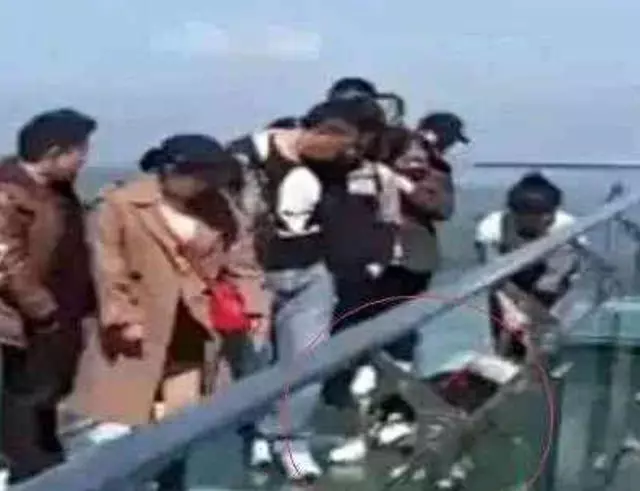 哈士奇不聽話,被主人帶到玻璃橋,二哈秒慫趴地:我錯了