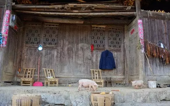 兒子把重病母親趕出門,只給一件破大衣,母親半路一摸口袋醒悟