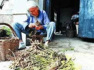 姐姐帶弟弟出門玩,遇到一奶奶問路,她隨便一指救了自己和弟弟