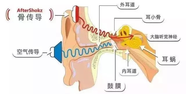 騙錢的「骨傳導耳機」可以讓你耳膜不受損,失聰的貝多芬是代言人