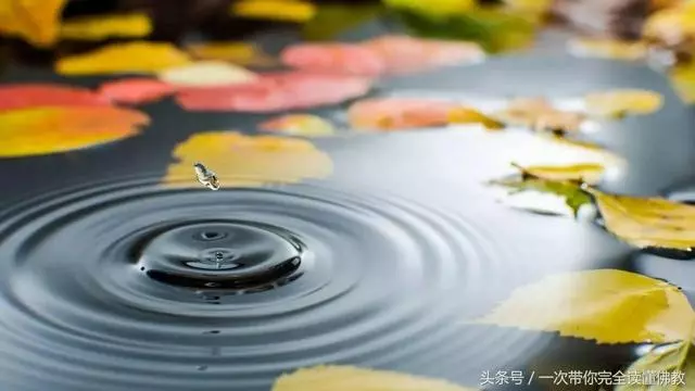 善於隨和,方能悟到真諦