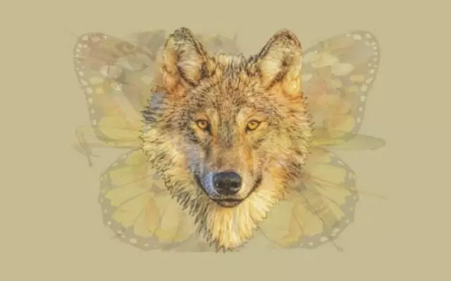 第一眼看到什麼動物,就是怎樣的人!太神奇了~