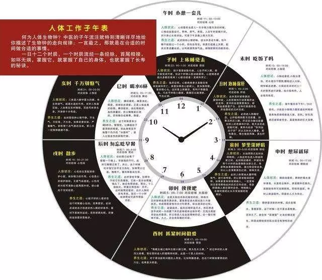 人體養生時間表到底靠不靠譜?醫生終於說了大實話!