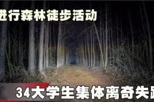 高速公路連環撞!2疑是馬勞騎士遭殃!