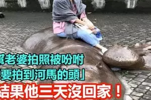高速公路連環撞!2疑是馬勞騎士遭殃!