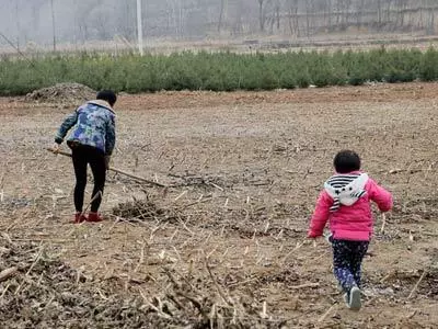 房子拆遷,父親打算給女兒一套房,不料兒媳說出來這樣的話!
