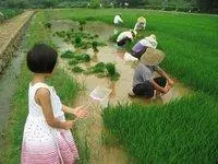 房子拆遷,父親打算給女兒一套房,不料兒媳說出來這樣的話!