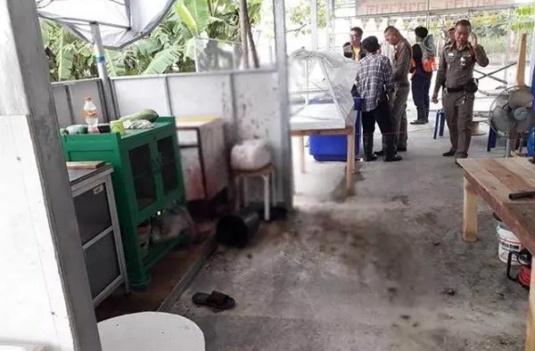 接報素食店有肉碎頭皮 警前往查看挖出男浮屍