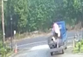 它追了主人整整20條街,「你怎麼忍心拋下我」