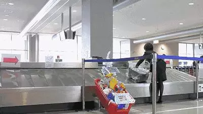 目瞪口呆!日本逆天停車場,2平方米竟停204輛車!