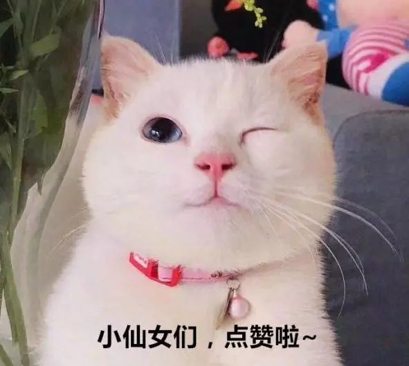 心理學:你最怕下面的哪個笑容?一眼看穿你在逃避什麼,神准
