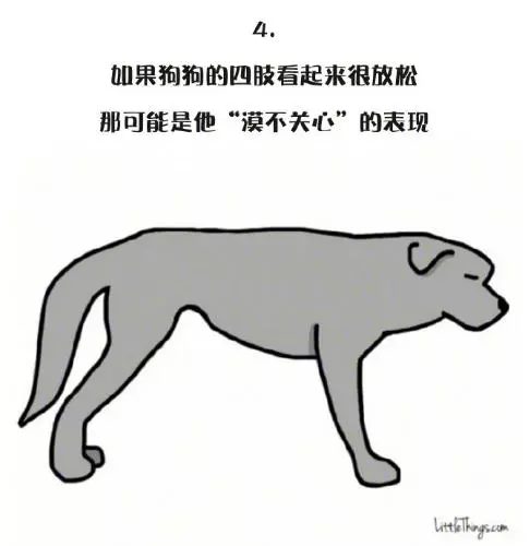 十一張漫畫告訴你,狗狗尾巴的動作里暗藏的玄機