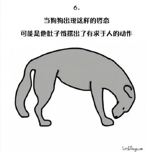 十一張漫畫告訴你,狗狗尾巴的動作里暗藏的玄機