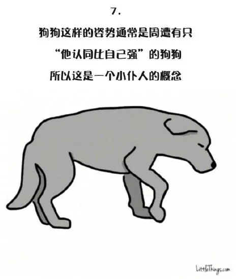 十一張漫畫告訴你,狗狗尾巴的動作里暗藏的玄機