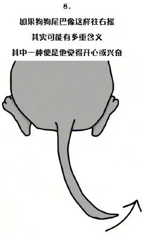 十一張漫畫告訴你,狗狗尾巴的動作里暗藏的玄機