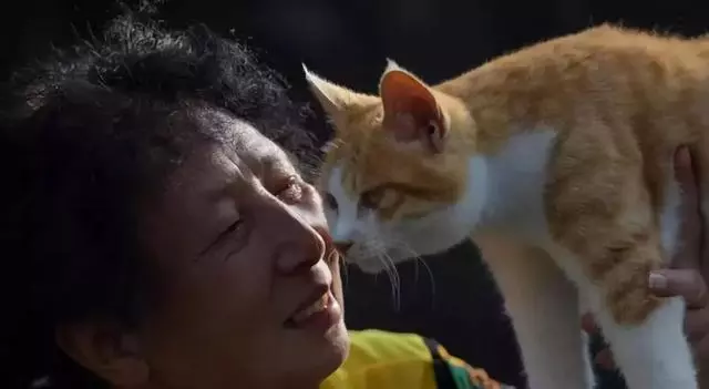 五千隻流浪狗被救助多年,老人賣盡商鋪豪車,換取狗狗幸福生活!