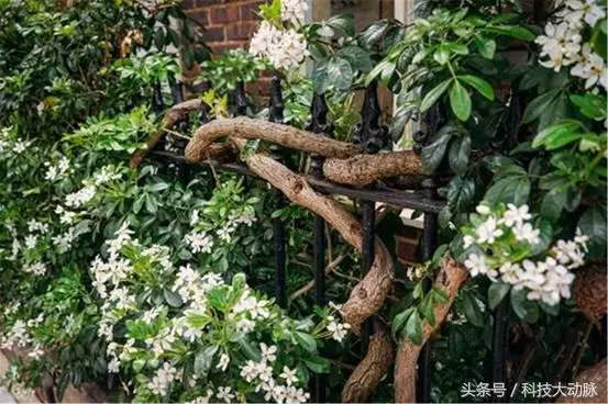 為什麼人類感覺不到地球在轉動?對比這5點,你會發現地球在轉!