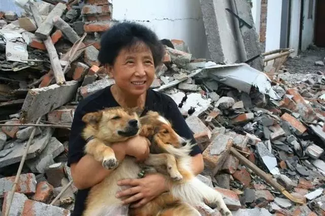 五千隻流浪狗被善良老人救助,花巨款建造愛之家,20年風雨不棄