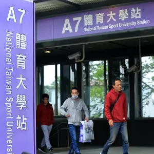 林佳龍造勢晚會3萬人爆棚 綠營:支持者放心不少