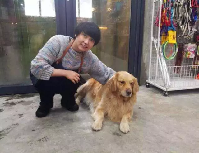 鏟屎官苦尋走失金毛,找回時在脖子上發現紙片,才發現欠了包子錢