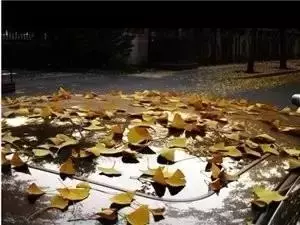 我問佛:未來的路 我該怎麼走?