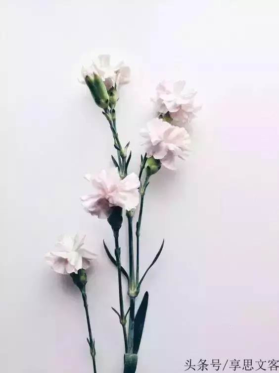 人,活一天就少一天,一轉身就是一輩子(此文無價)