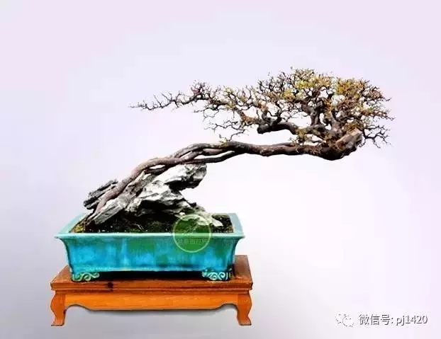 嶺南造型技法的秘訣原來在這!