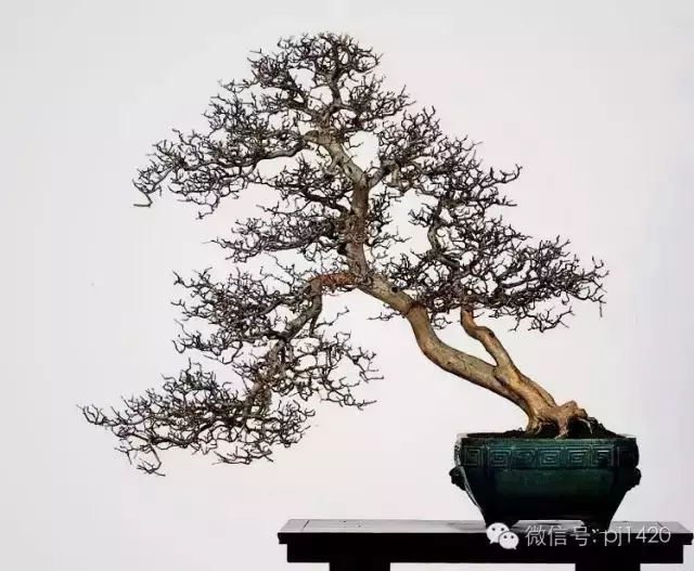 嶺南造型技法的秘訣原來在這!
