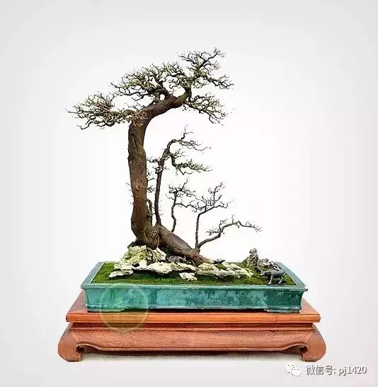 嶺南造型技法的秘訣原來在這!