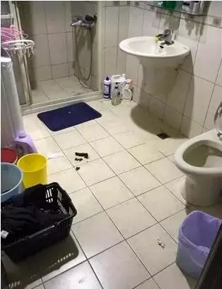 三個超級實用訓狗方法,兩周還你一隻乖狗狗