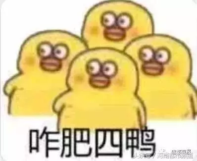 一輛爬山車疑失控翻下路旁水溝，男司機當場喪命