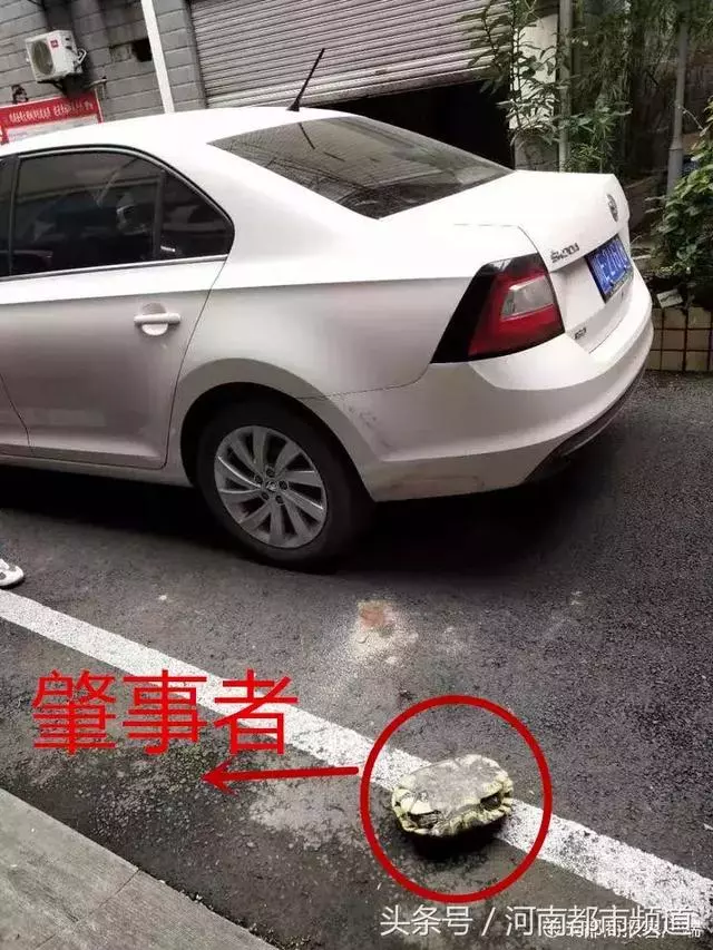 一輛爬山車疑失控翻下路旁水溝，男司機當場喪命