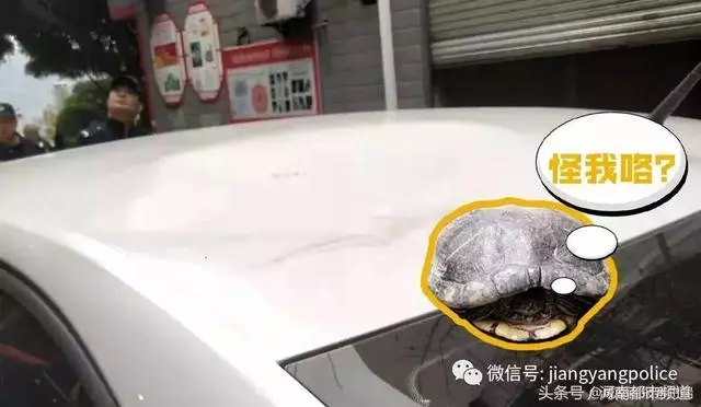 一輛爬山車疑失控翻下路旁水溝，男司機當場喪命